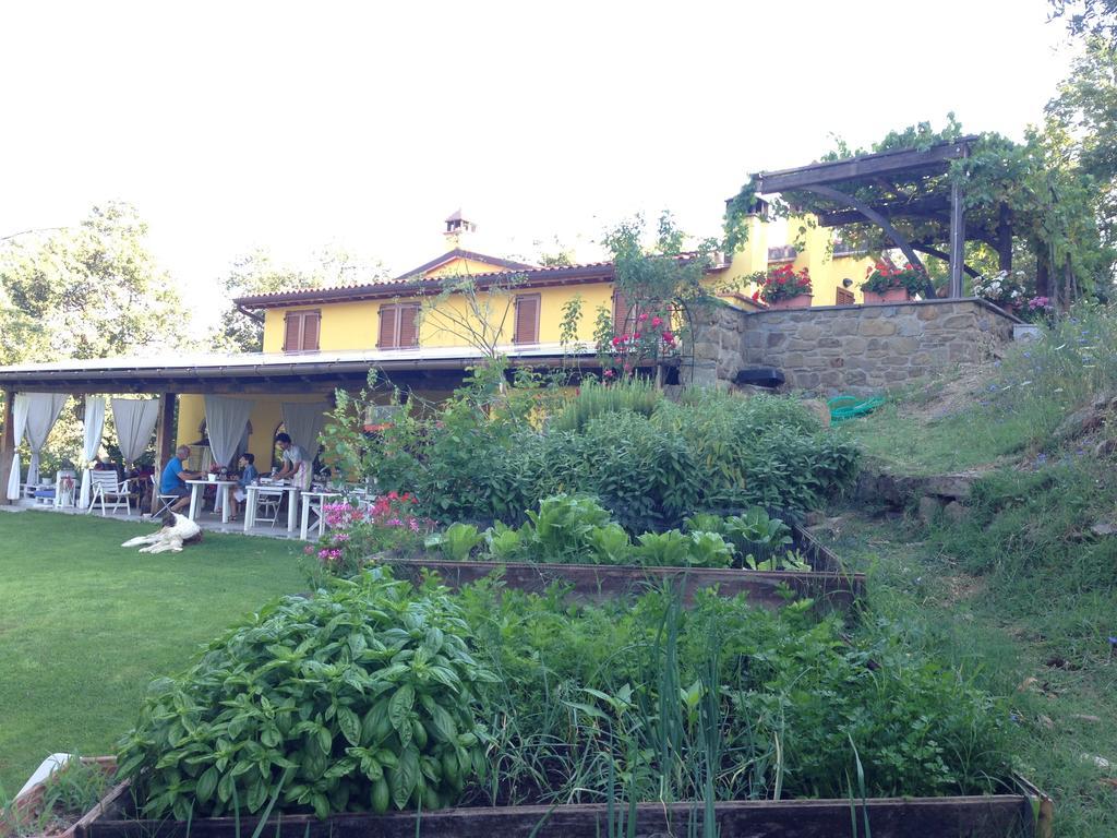 Agriturismo Borgo Nuovo Di Mulinelli อาเรซโซ ภายนอก รูปภาพ