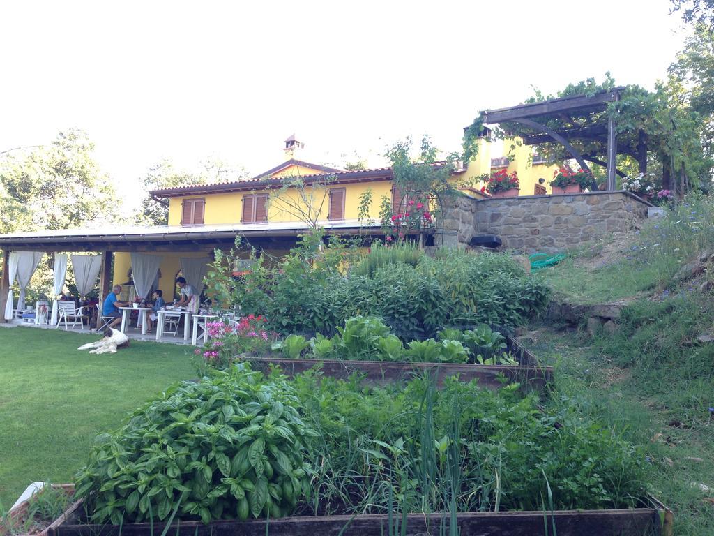 Agriturismo Borgo Nuovo Di Mulinelli Villa อาเรซโซ ภายนอก รูปภาพ